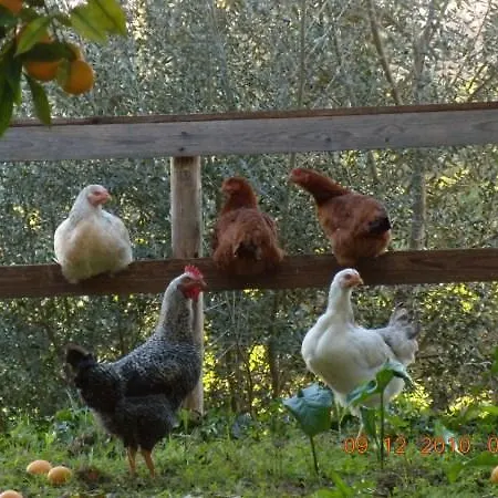 Soleluna Farm stay *