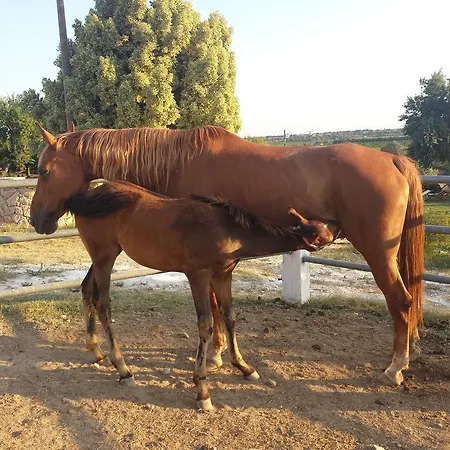 Farm stay Soleluna