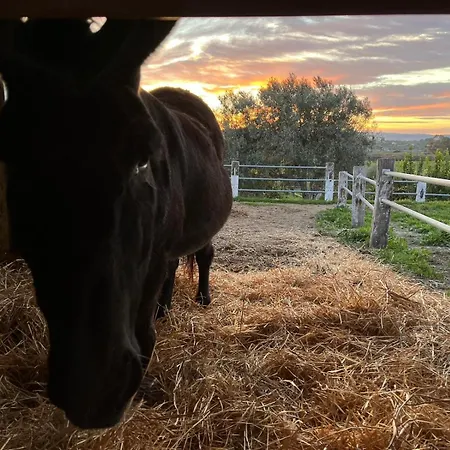 Soleluna Vakantieboerderij Syracuse
